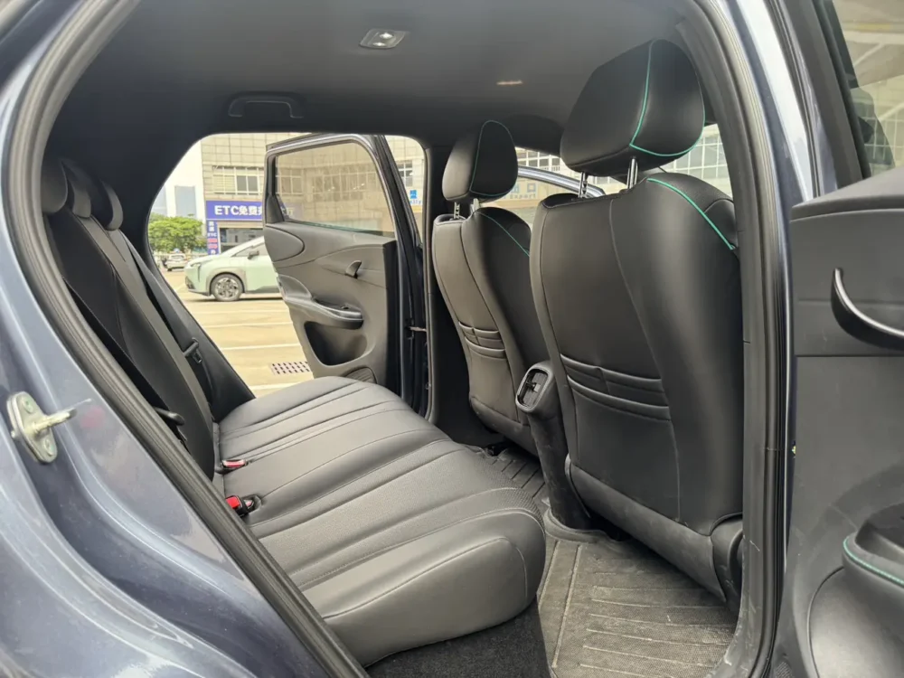 BYD Dolphin Fashion Edition