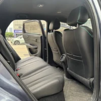 BYD Dolphin Fashion Edition