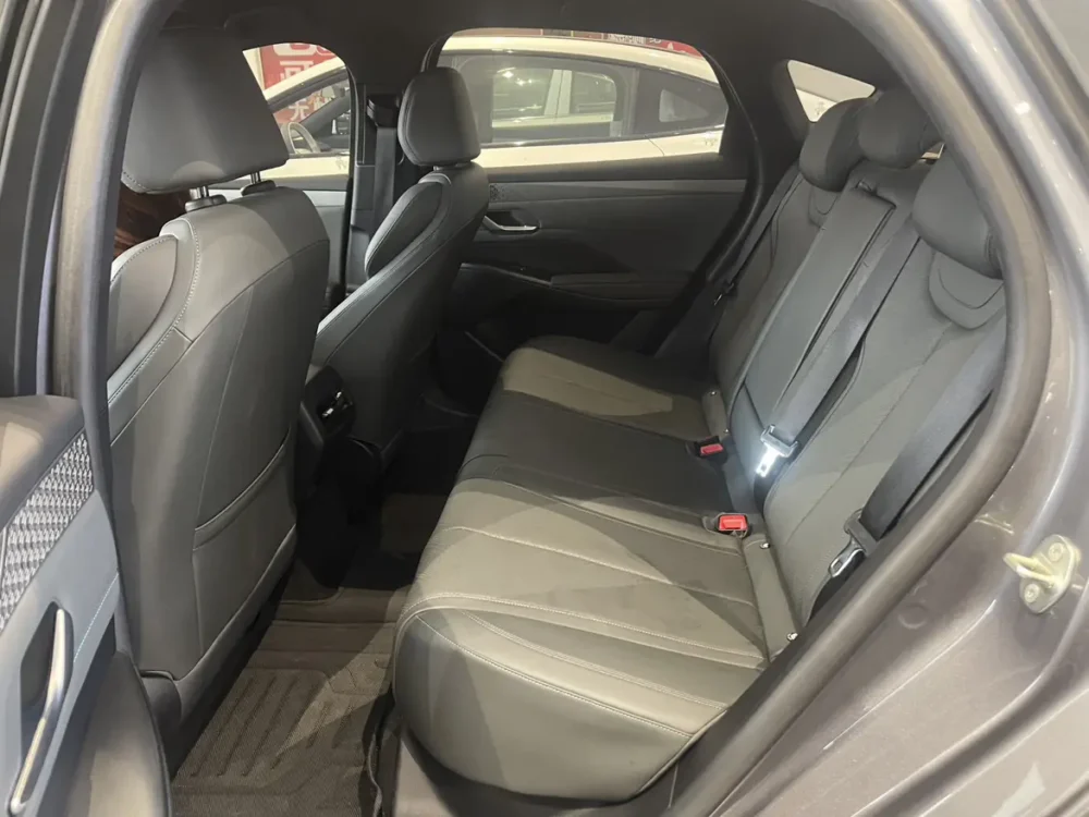 BYD Qin PLUS EV Intelligent Driving Edition 510KM Leading Edition 100kw