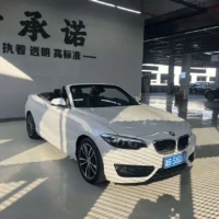 BMW 2 Series (Imported) 220i Convertible Coupe Sports Design Package