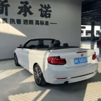 BMW 2 Series (Imported) 220i Convertible Coupe Sports Design Package