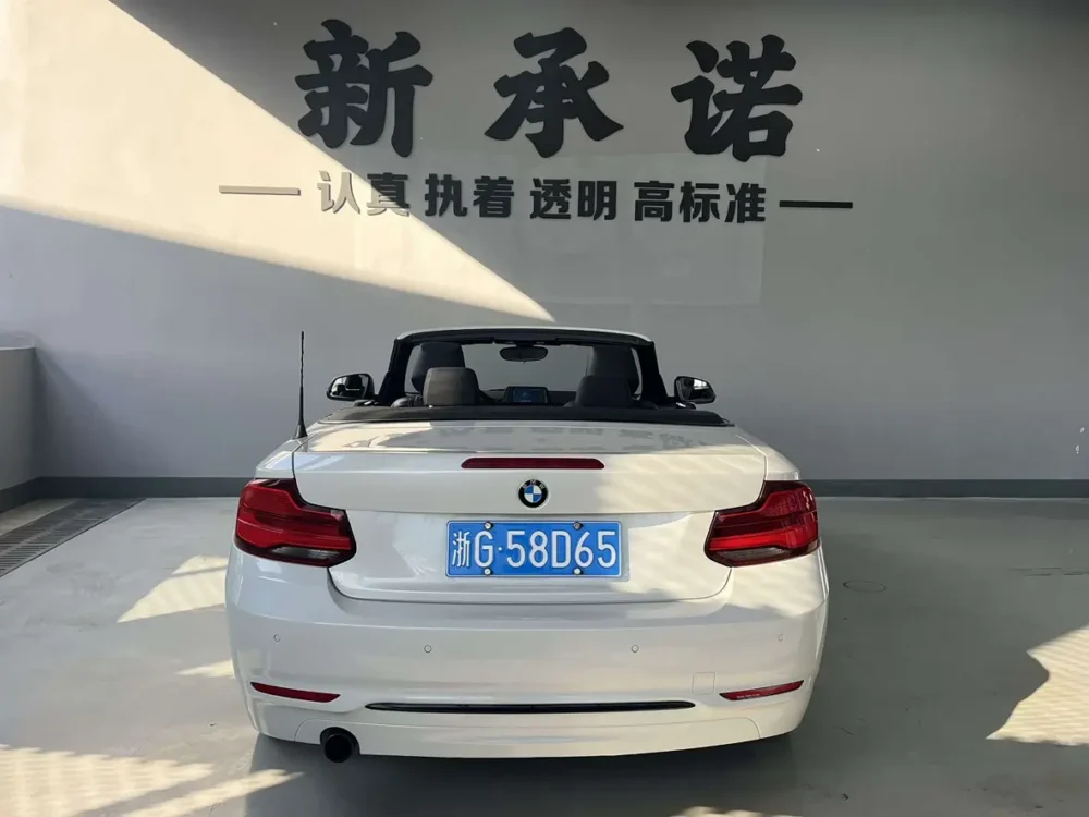 BMW 2 Series (Imported) 220i Convertible Coupe Sports Design Package