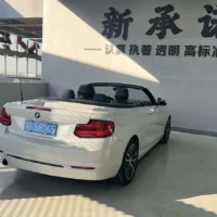 BMW 2 Series (Imported) 220i Convertible Coupe Sports Design Package