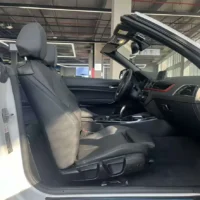 BMW 2 Series (Imported) 220i Convertible Coupe Sports Design Package