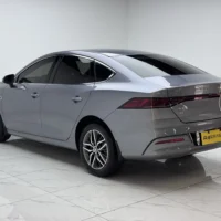BYD Qin PLUS EV Honor Edition 420KM Leading Model 100kw