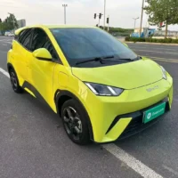 BYD Seagull Free Edition 55kw