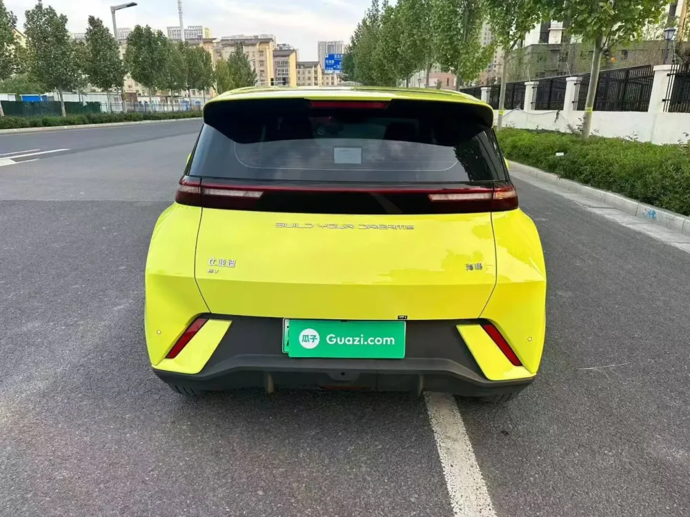 BYD Seagull Free Edition 55kw
