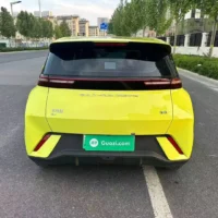 BYD Seagull Free Edition 55kw