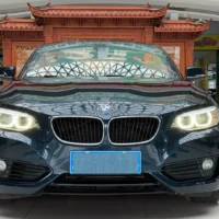 BMW 2 Series 218i Convertible Coupe