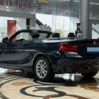 BMW 2 Series 218i Convertible Coupe