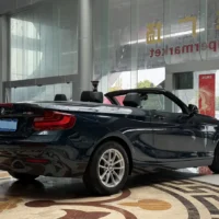 BMW 2 Series 218i Convertible Coupe