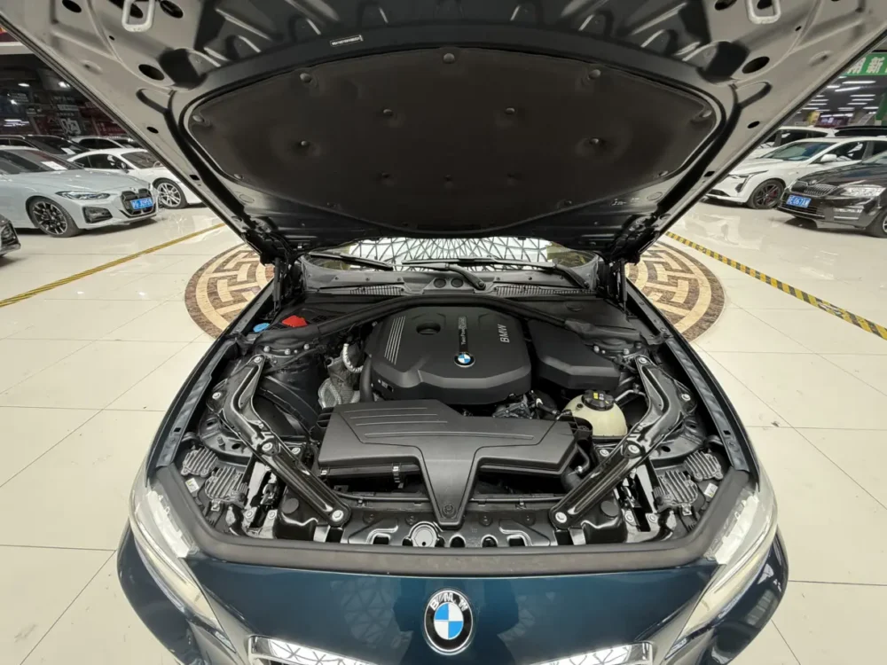 BMW 2 Series 218i Convertible Coupe
