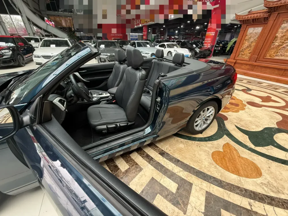 BMW 2 Series 218i Convertible Coupe