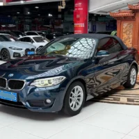 BMW 2 Series 218i Convertible Coupe