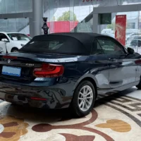 BMW 2 Series 218i Convertible Coupe