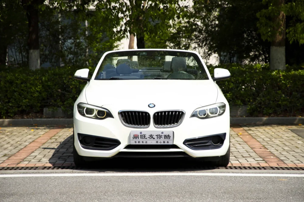 BMW 2 Series (Imported) 220i Convertible Coupe Sports Design Package
