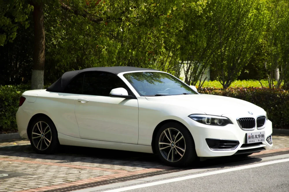 BMW 2 Series (Imported) 220i Convertible Coupe Sports Design Package