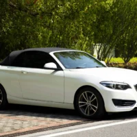 BMW 2 Series (Imported) 220i Convertible Coupe Sports Design Package
