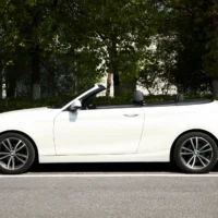 BMW 2 Series (Imported) 220i Convertible Coupe Sports Design Package
