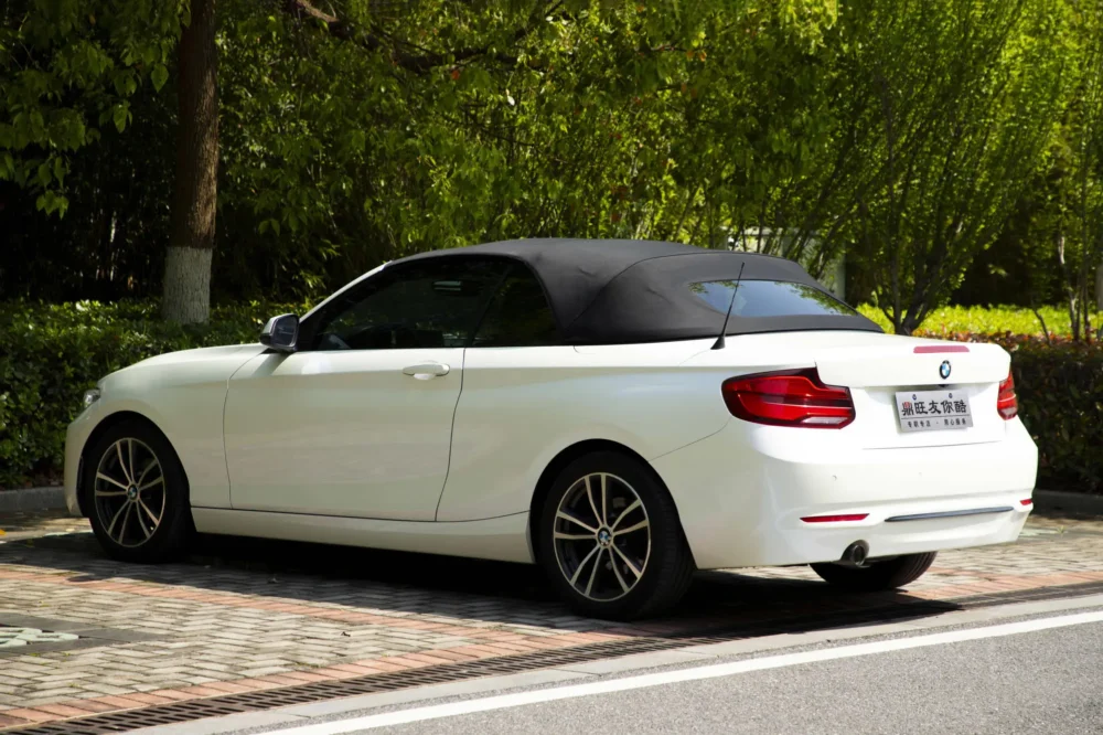 BMW 2 Series (Imported) 220i Convertible Coupe Sports Design Package