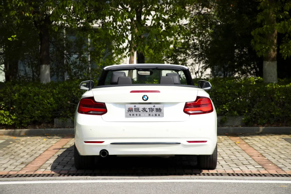 BMW 2 Series (Imported) 220i Convertible Coupe Sports Design Package