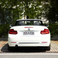 BMW 2 Series (Imported) 220i Convertible Coupe Sports Design Package
