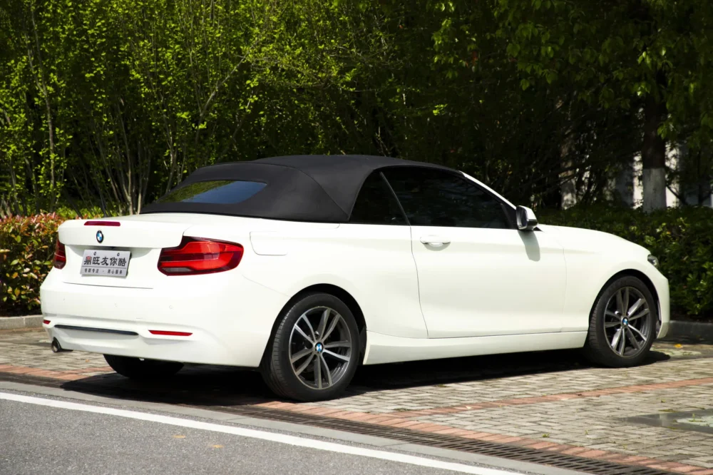 BMW 2 Series (Imported) 220i Convertible Coupe Sports Design Package