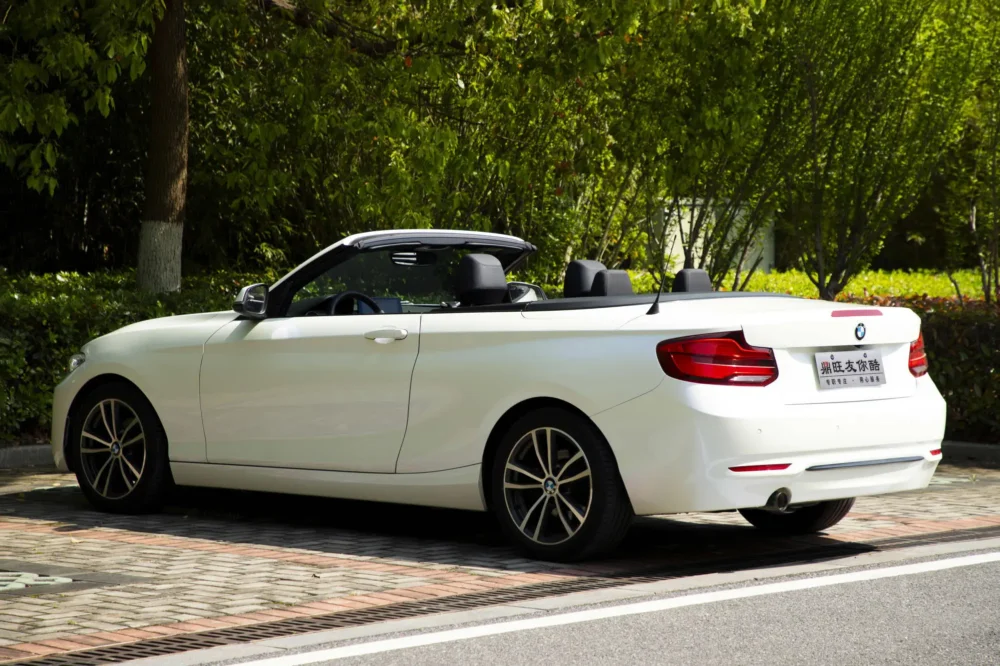 BMW 2 Series (Imported) 220i Convertible Coupe Sports Design Package