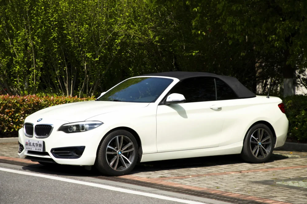 BMW 2 Series (Imported) 220i Convertible Coupe Sports Design Package