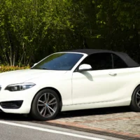 BMW 2 Series (Imported) 220i Convertible Coupe Sports Design Package