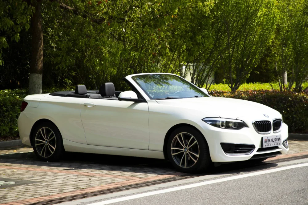BMW 2 Series (Imported) 220i Convertible Coupe Sports Design Package