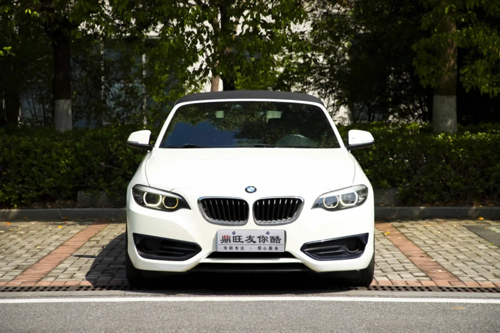 BMW 2 Series (Imported) 220i Convertible Coupe Sports Design Package