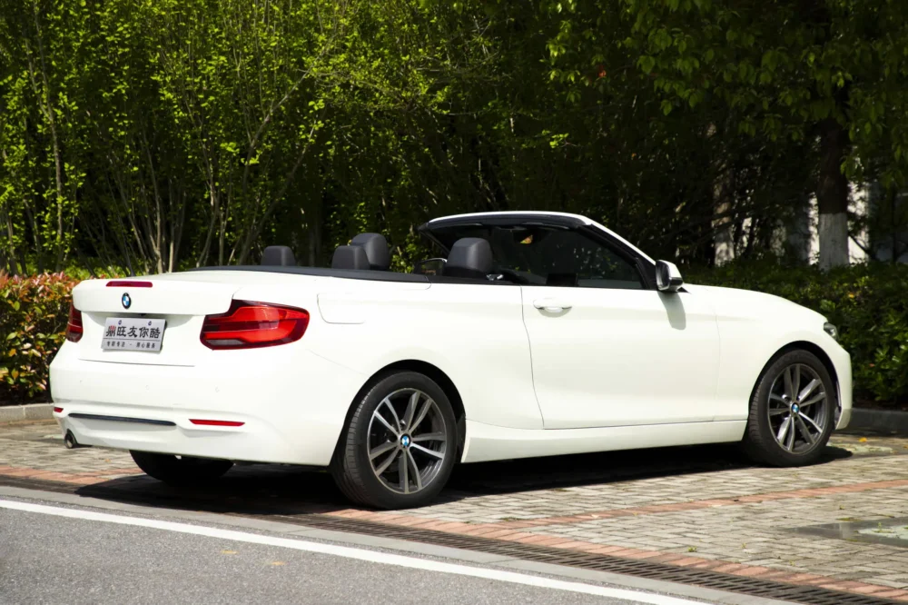 BMW 2 Series (Imported) 220i Convertible Coupe Sports Design Package