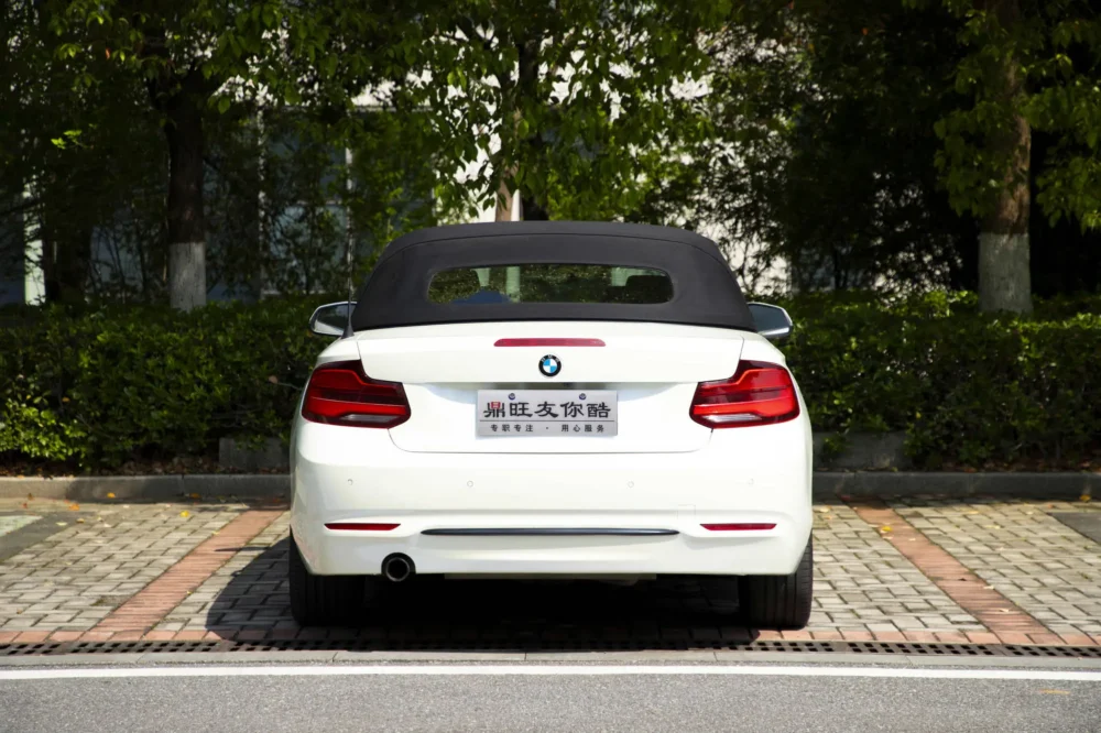 BMW 2 Series (Imported) 220i Convertible Coupe Sports Design Package