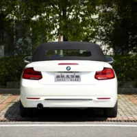 BMW 2 Series (Imported) 220i Convertible Coupe Sports Design Package