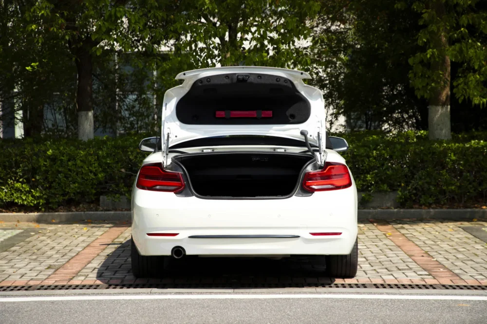 BMW 2 Series (Imported) 220i Convertible Coupe Sports Design Package