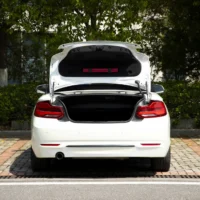 BMW 2 Series (Imported) 220i Convertible Coupe Sports Design Package