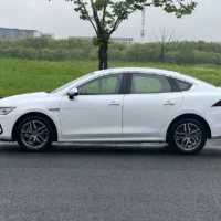 BYD Qin PLUS EV Honor Edition 420KM Leading Model 110kw