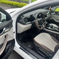 BYD Qin PLUS EV Honor Edition 420KM Leading Model 110kw