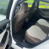 BYD Qin PLUS EV Honor Edition 420KM Leading Model 110kw
