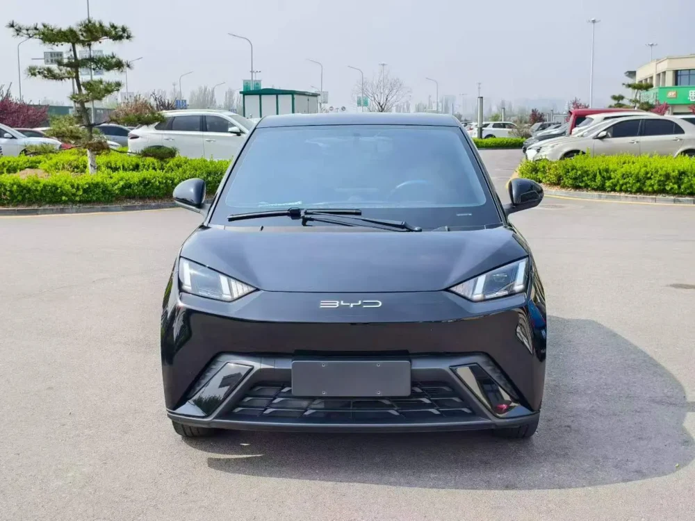 BYD Seagull Free Edition 55kw