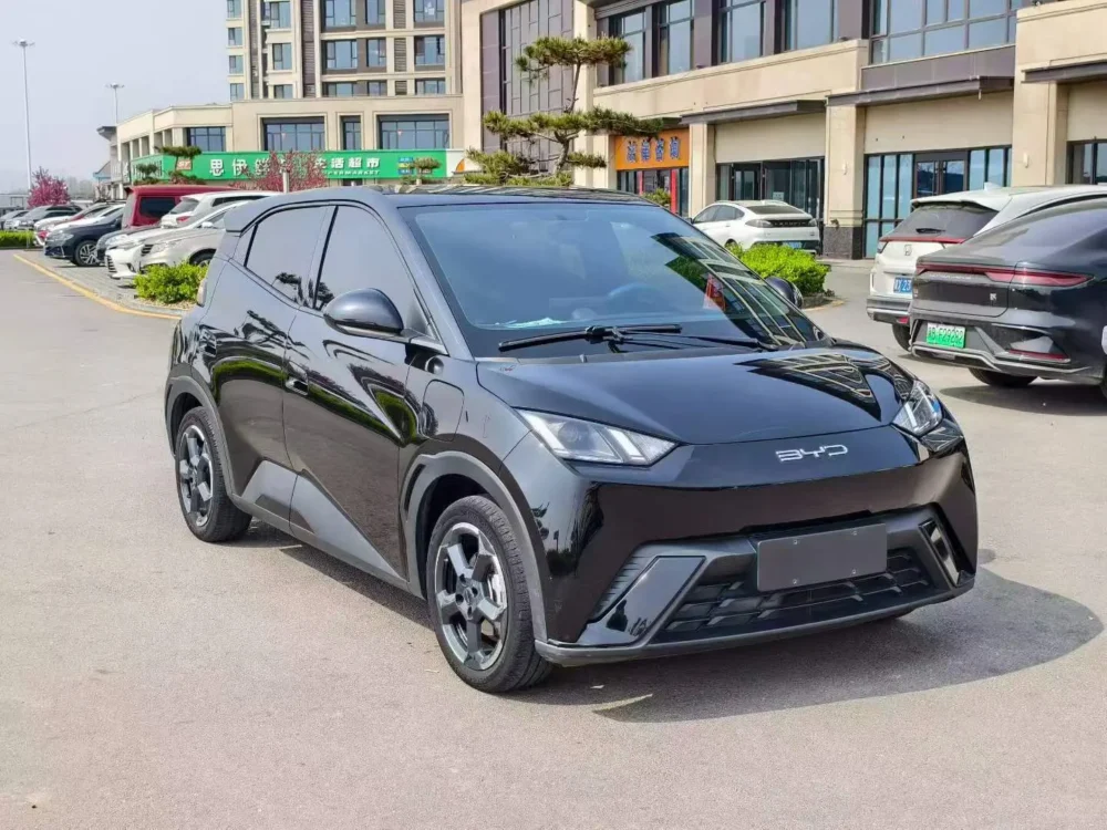 BYD Seagull Free Edition 55kw