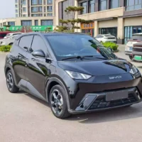 BYD Seagull Free Edition 55kw