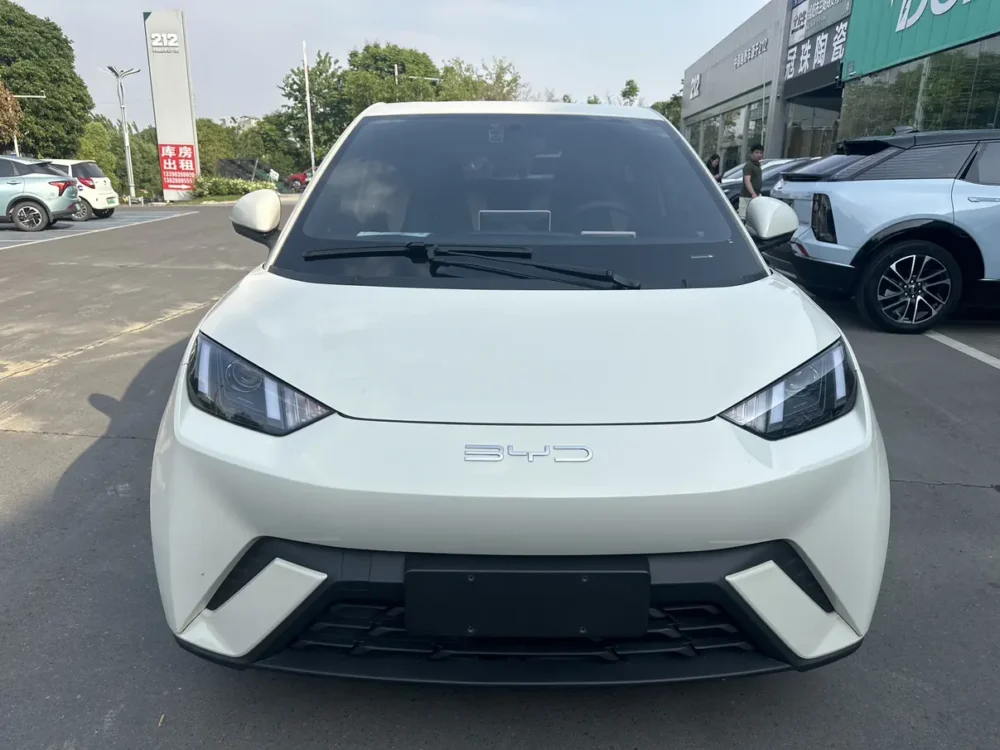 BYD Seagull Vitality Edition 55kw