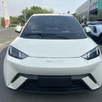 BYD Seagull Vitality Edition 55kw