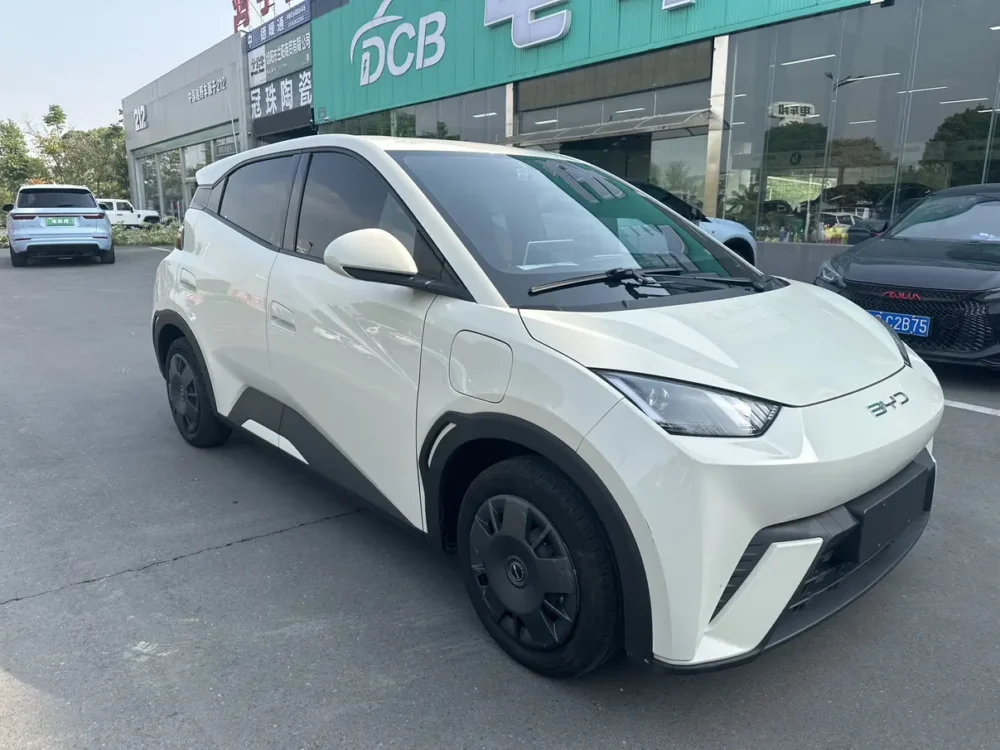 BYD Seagull Vitality Edition 55kw
