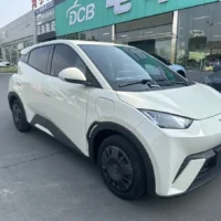 BYD Seagull Vitality Edition 55kw