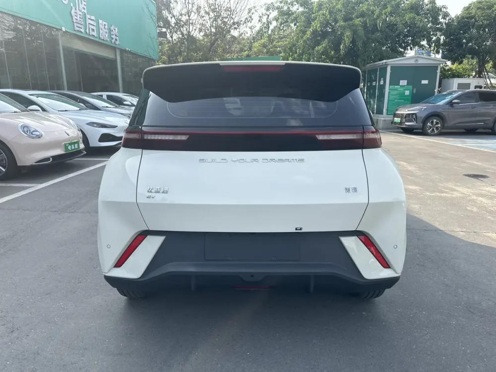 BYD Seagull Vitality Edition 55kw
