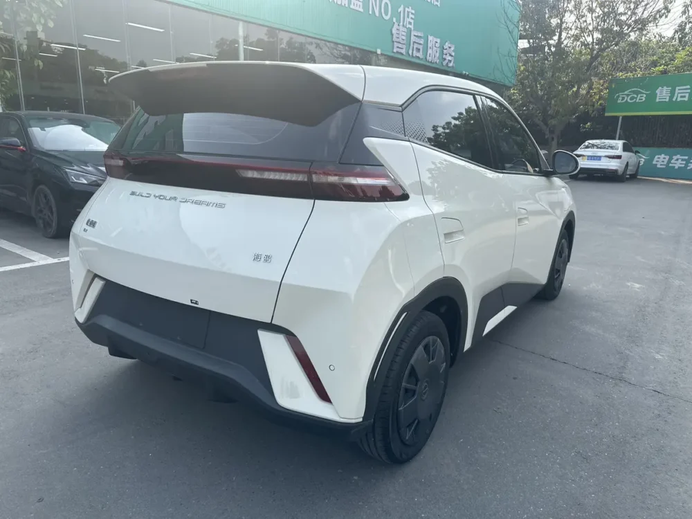 BYD Seagull Vitality Edition 55kw