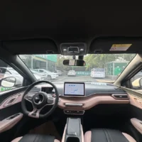 BYD Seagull Vitality Edition 55kw